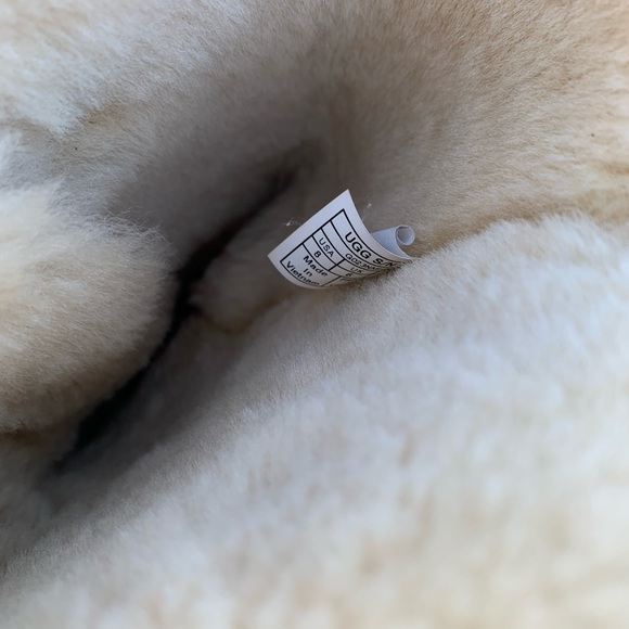 UGG 🔴 Bailey Button triplet In Chestnut - Picture 6 of 6